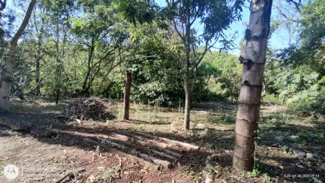 imagem 3 - Rural - Chácara com Condomínio imagem 3 - Rural - Chácara com Condomínio
