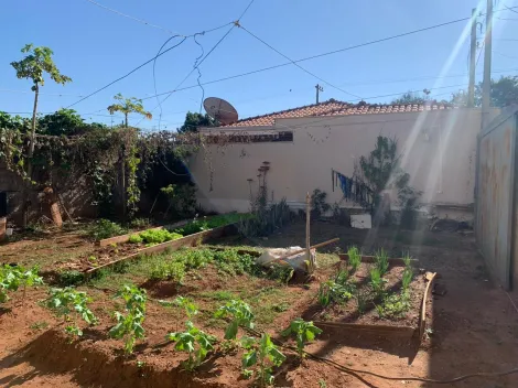 imagem 2 - Terreno - Padrão imagem 2 - Terreno - Padrão
