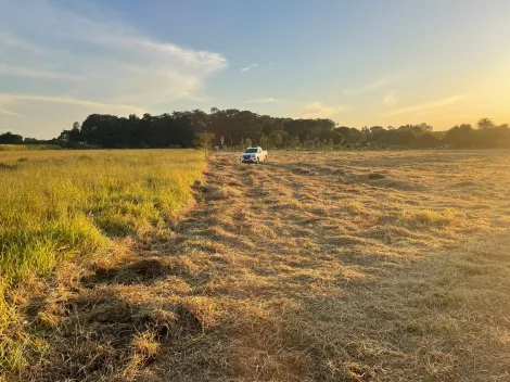 Alugar Rural / Área em Araraquara. apenas R$ 430.000,00