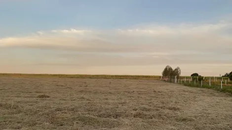 imagem 3 - Rural - Área imagem 3 - Rural - Área