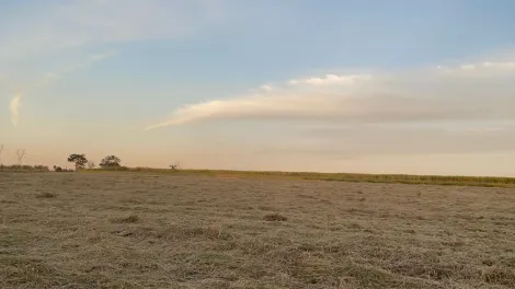 imagem 4 - Rural - Área imagem 4 - Rural - Área