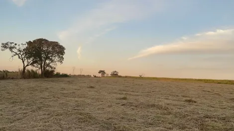 imagem 5 - Rural - Área imagem 5 - Rural - Área