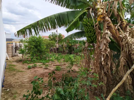 imagem 2 - Terreno à venda no José Giro a vista ou financiado! imagem 2 - Terreno à venda no José Giro a vista ou financiado!