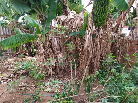 Terreno à venda no José do Giro