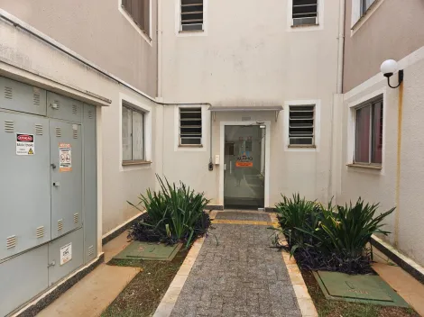 imagem 3 - Apartamento - Padrão imagem 3 - Apartamento - Padrão