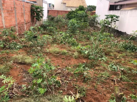 Terreno em ótima localização.