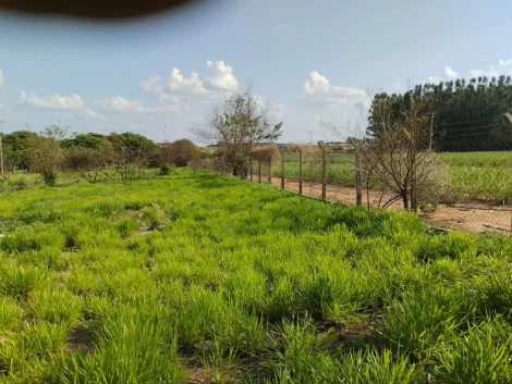 imagem 2 - Rural - Área imagem 2 - Rural - Área