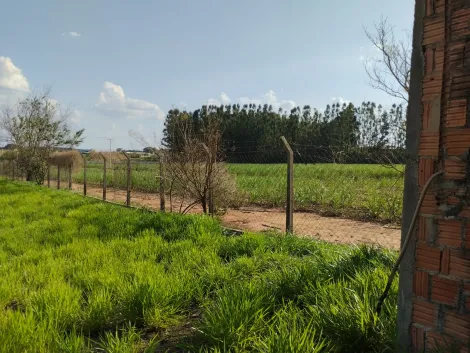 imagem 5 - Rural - Área imagem 5 - Rural - Área