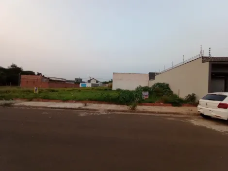 imagem 1 - Terreno - Padrão imagem 1 - Terreno - Padrão