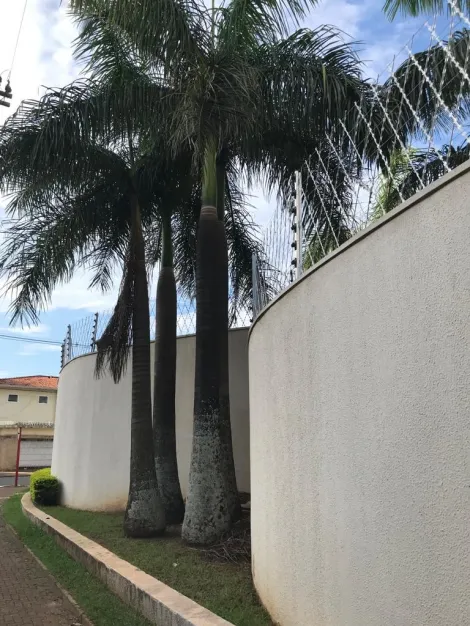 imagem 4 - Apartamento - Duplex Cobertura imagem 4 - Apartamento - Duplex Cobertura