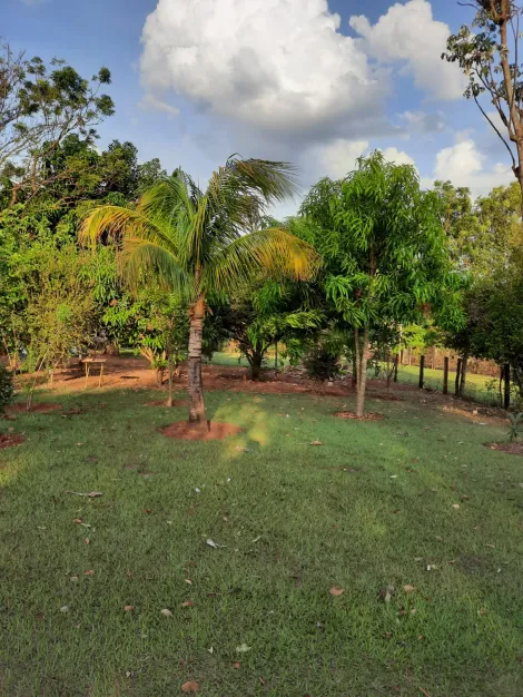 imagem 2 - Rural - Chácara imagem 2 - Rural - Chácara