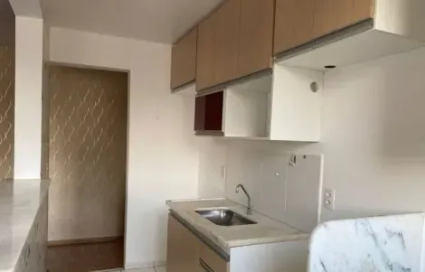 Belissimo Apartamento à Venda no bairro Jardim Nova Europa