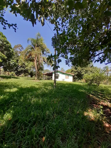 imagem 2 - Rural - Sítio imagem 2 - Rural - Sítio