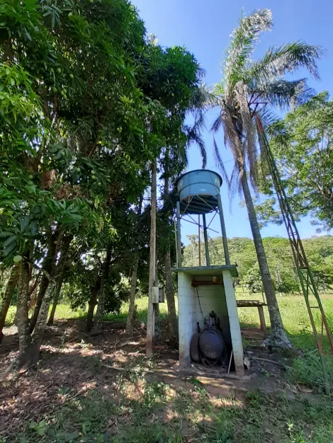 imagem 3 - Rural - Sítio imagem 3 - Rural - Sítio