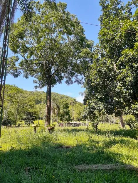 imagem 5 - Rural - Sítio imagem 5 - Rural - Sítio