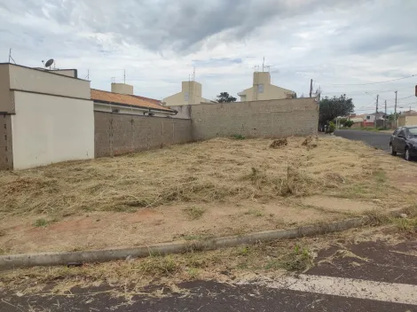 Alugar Terreno / Padrão em Araraquara. apenas R$ 176.000,00