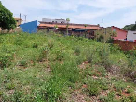 imagem 5 - Terreno - Padrão imagem 5 - Terreno - Padrão