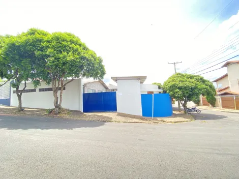 Aluguel de árvore de Natal residencial: tradição da Galpão Casa - Galpão  Casa