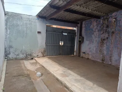 alt=