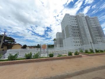 São Carlos - Recreio São Judas Tadeu - Apartamento - Padrão - Locaçao