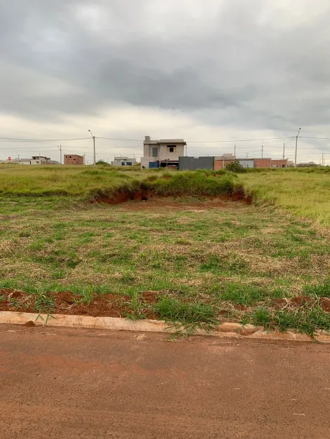 Alugar Terreno / Padrão em São Carlos. apenas R$ 160.000,00