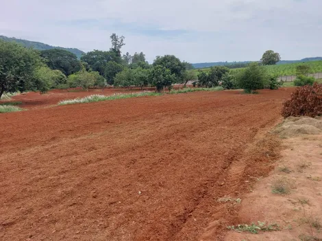 imagem 3 - Rural - Chácara imagem 3 - Rural - Chácara