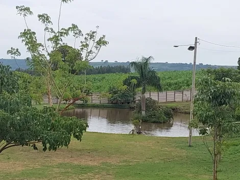 imagem 4 - Rural - Chácara imagem 4 - Rural - Chácara