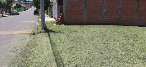 imagem 1 - Terreno - Padrão imagem 1 - Terreno - Padrão