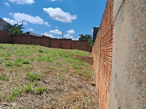 imagem 3 - Terreno - Padrão imagem 3 - Terreno - Padrão
