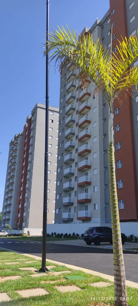 Alugar Apartamento / Padrão em Araraquara. apenas R$ 1.250,00