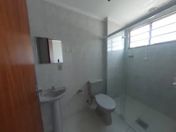 imagem 5 - Apartamento Kitnet com 1 dormitório no Jardim Paraíso próximo a USP em São Carlos imagem 5 - Apartamento Kitnet com 1 dormitório no Jardim Paraíso próximo a USP em São Carlos