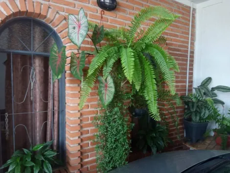 imagem 2 - Casa - Padrão imagem 2 - Casa - Padrão