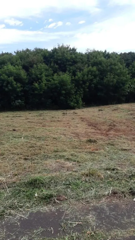 imagem 1 - Terreno - Padrão imagem 1 - Terreno - Padrão