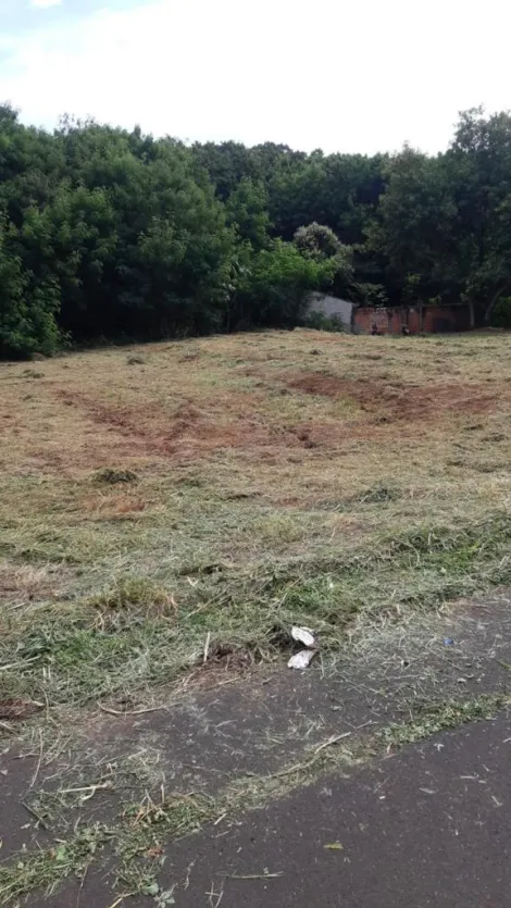 imagem 3 - Terreno - Padrão imagem 3 - Terreno - Padrão