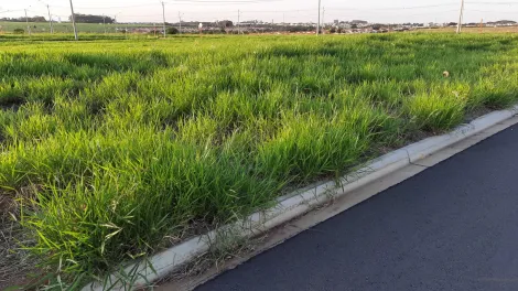 Alugar Terreno / Padrão em São Carlos. apenas R$ 160.000,00