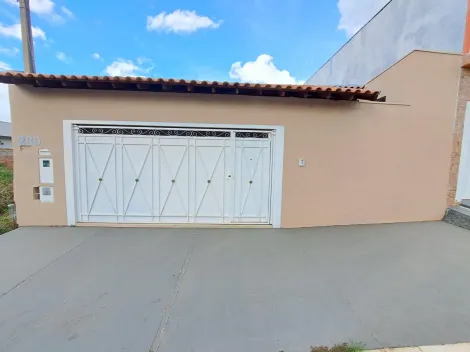 imagem 1 - Samambaia. imagem 1 - Samambaia.