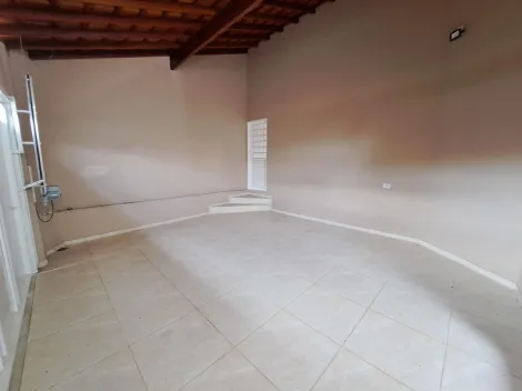 imagem 2 - Samambaia. imagem 2 - Samambaia.