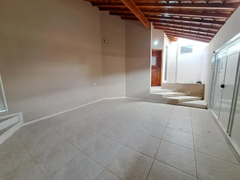 imagem 3 - Samambaia. imagem 3 - Samambaia.