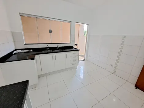 imagem 4 - Samambaia. imagem 4 - Samambaia.