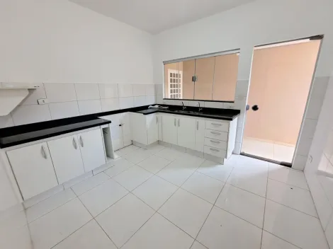 imagem 5 - Samambaia. imagem 5 - Samambaia.