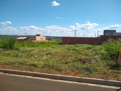 imagem 1 - Terreno - Padrão imagem 1 - Terreno - Padrão
