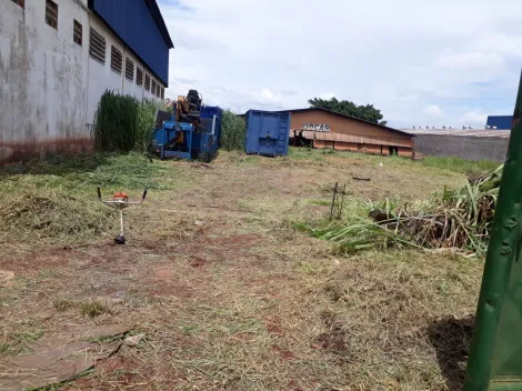 imagem 3 - Terreno - Padrão imagem 3 - Terreno - Padrão