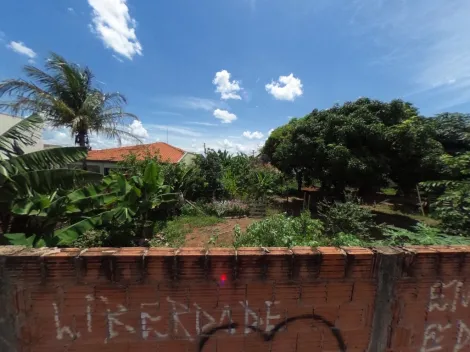 imagem 2 - Terreno - Padrão imagem 2 - Terreno - Padrão