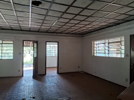 imagem 4 - Rural - Chácara imagem 4 - Rural - Chácara