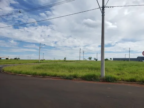 imagem 3 - Terreno - Padrão imagem 3 - Terreno - Padrão