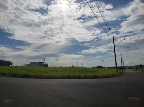 imagem 1 - Terreno - Padrão imagem 1 - Terreno - Padrão