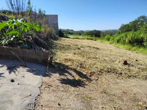 imagem 1 - Terreno - Padrão imagem 1 - Terreno - Padrão