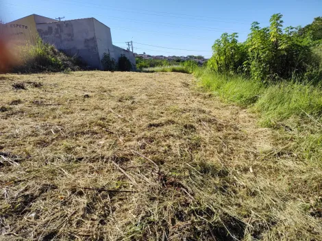 imagem 2 - Terreno - Padrão imagem 2 - Terreno - Padrão
