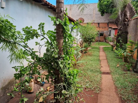 imagem 5 - Rural - Chácara imagem 5 - Rural - Chácara