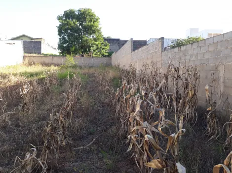 imagem 5 - Terreno - Padrão imagem 5 - Terreno - Padrão